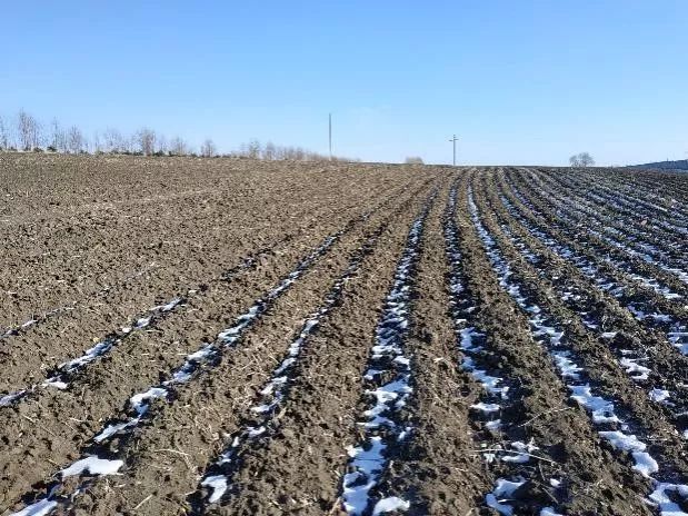 海伦富硒大米怎么卖（海伦富硒米多少钱一斤）-硒宝网