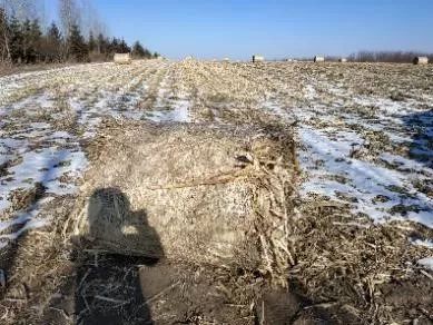 海伦富硒大米怎么卖（海伦富硒米多少钱一斤）-硒宝网