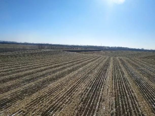 海伦富硒大米怎么卖（海伦富硒米多少钱一斤）-硒宝网