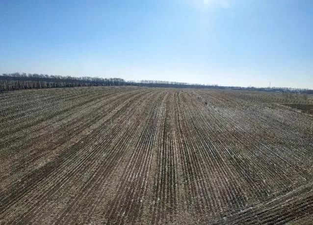 海伦富硒大米怎么卖（海伦富硒米多少钱一斤）-硒宝网