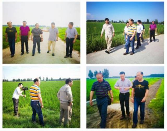 富硒大米的功效作用(大米功效作用富硒含量高吗)-硒宝网