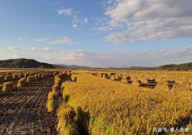 富硒大米什么标准好(大米的富硒标准)-硒宝网