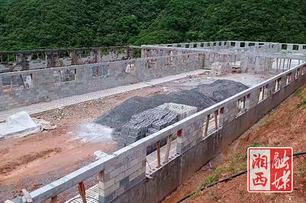 泸溪富硒大米好吃吗（富硒大米好在哪）-硒宝网