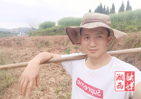 泸溪富硒大米好吃吗（富硒大米好在哪）-硒宝网