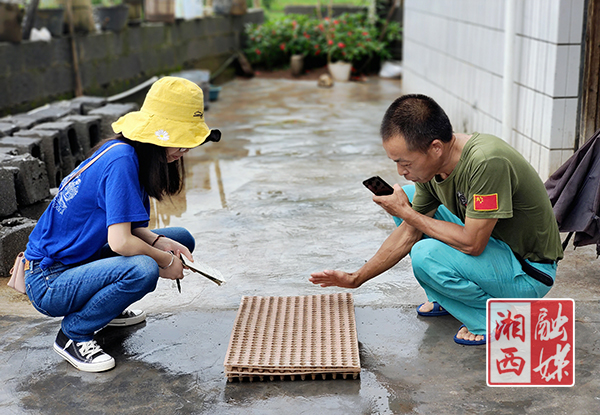 泸溪富硒大米好吃吗（富硒大米好在哪）-硒宝网