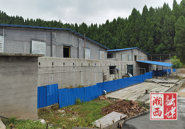 泸溪富硒大米好吃吗（富硒大米好在哪）-硒宝网