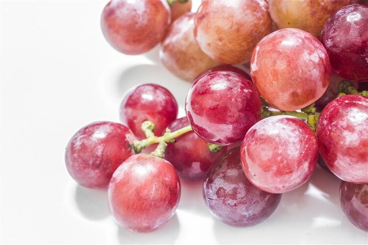 吃什么可以补碘（服碘后可以吃含碘的盐吗）-硒宝网