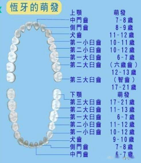 换牙期间需要补钙吗（补钙期间换牙需要补钙吗）-硒宝网