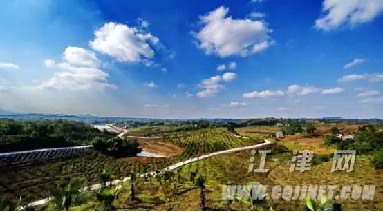 江津种植的富硒大米（富硒大米种植技术）-硒宝网