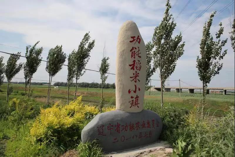 稻花香营口富硒大米（富硒大米和稻花香大米哪个好）-硒宝网