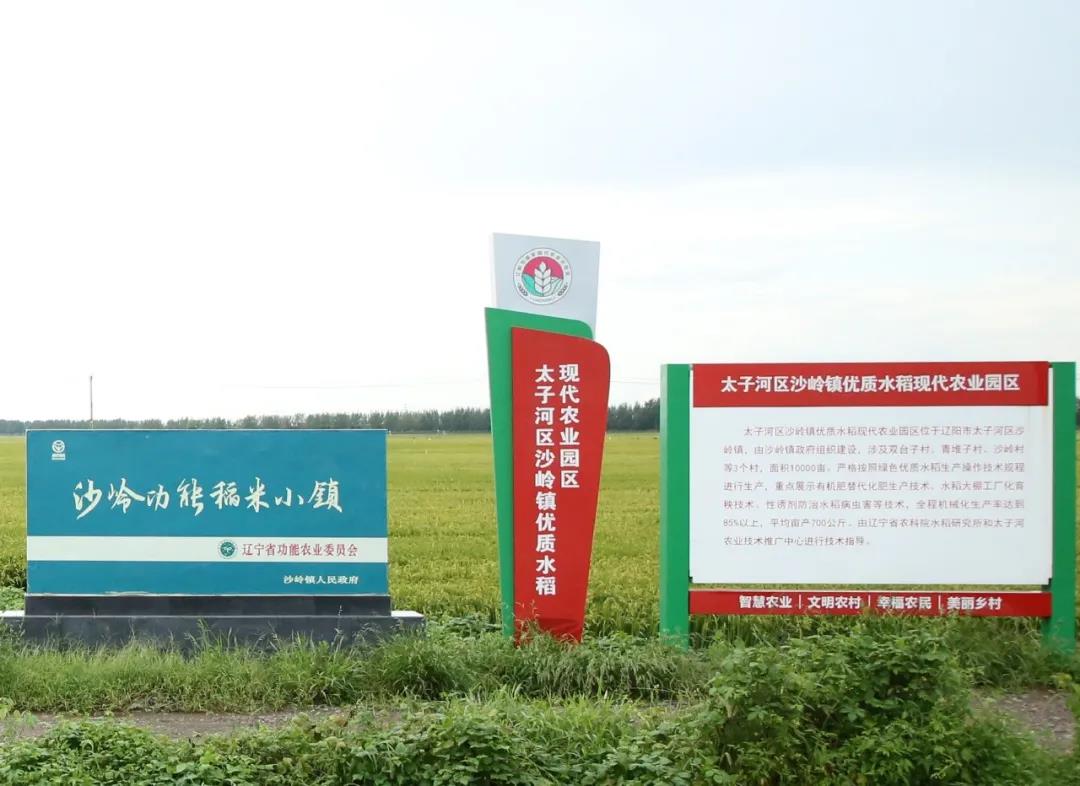 稻花香营口富硒大米（富硒大米和稻花香大米哪个好）-硒宝网