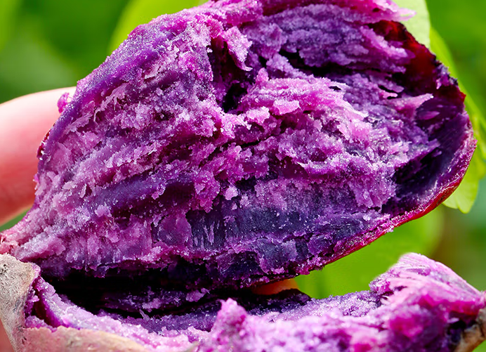 江津种植的富硒大米（大米种植江津富硒产量）-硒宝网