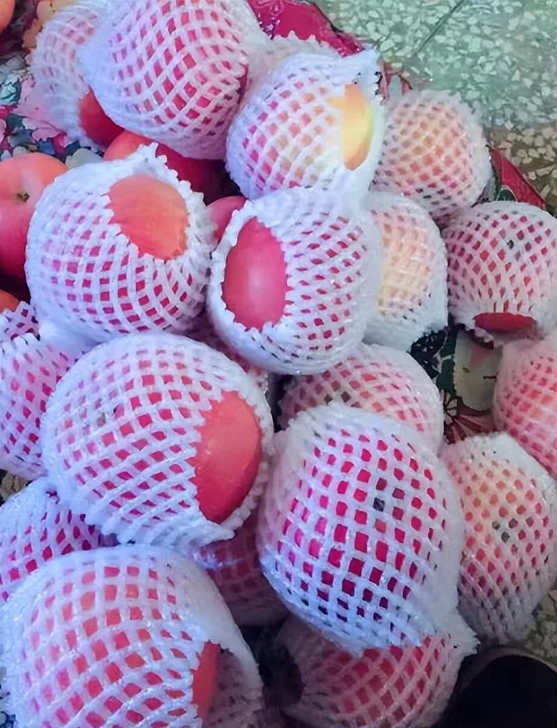 水果补钙(水果补钙的有哪些)-硒宝网