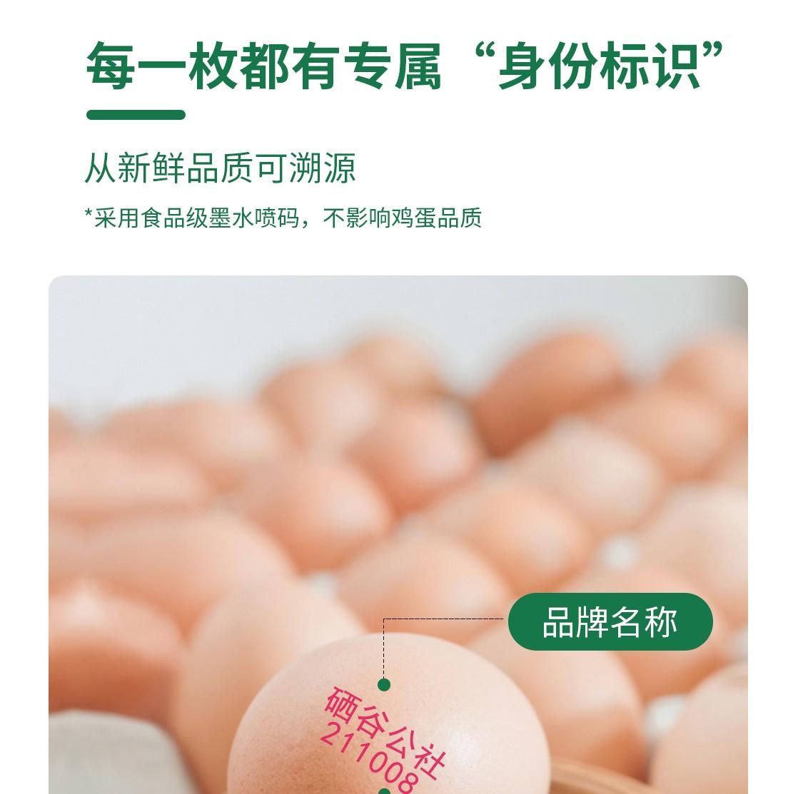 什么品牌的富硒大米(富硒大米牌子)-硒宝网