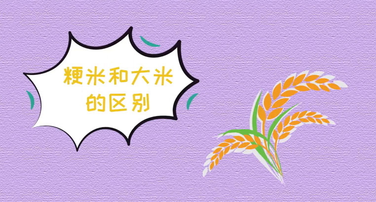 生态富硒大米雷代表(生态大米和普通大米的区别)-硒宝网