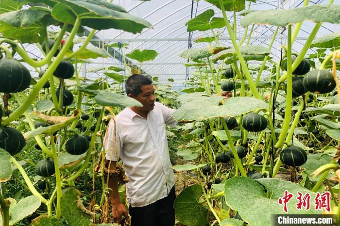 江西宜春获富硒大米(江西富硒大米基地)-硒宝网