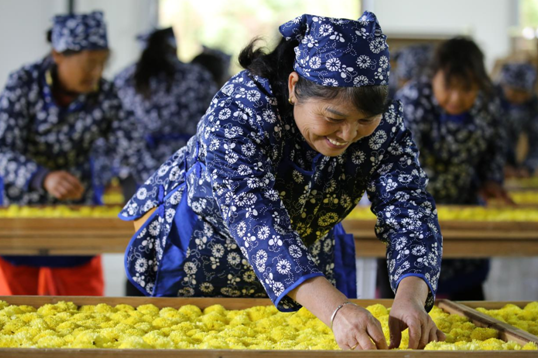 江西宜春获富硒大米(宜春富硒大米产地)-硒宝网