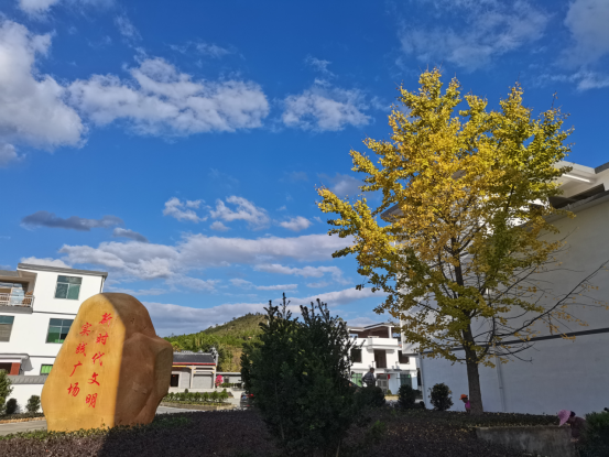 富硒大米哪家服务好（富硒大米口感如何）-硒宝网