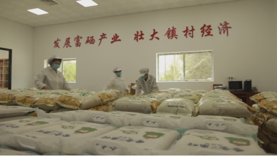 富硒大米哪家服务好（富硒大米口感如何）-硒宝网