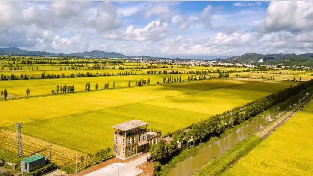 丰城富硒大米小程序（丰祥富硒大米）-硒宝网