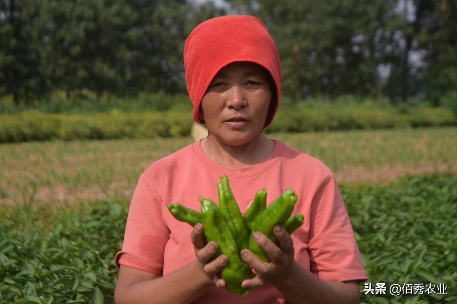 钙属于微量元素吗（钙微量元素属于什么检查）-硒宝网
