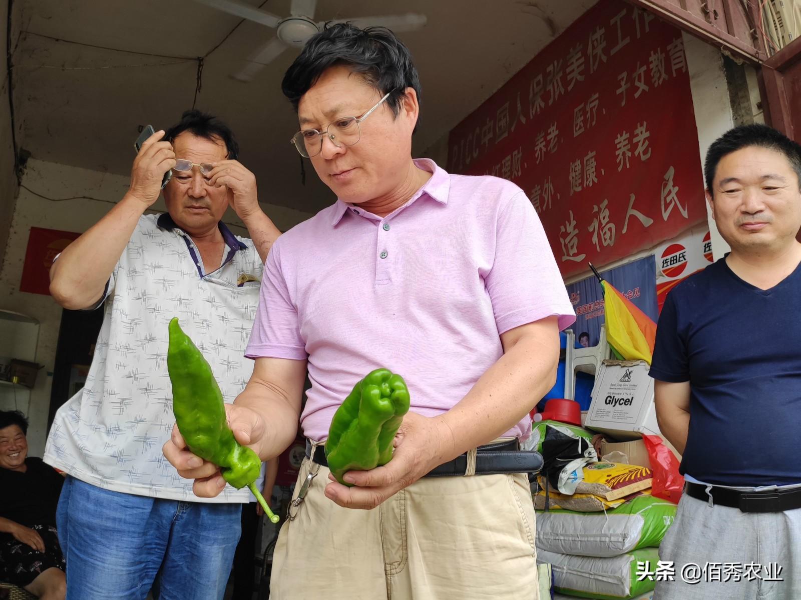 钙属于微量元素吗（钙微量元素属于什么检查）-硒宝网