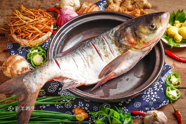 什么食物是补锌的(食补补锌)-硒宝网