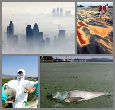 大山第一村富硒大米（富硒大米好在哪）-硒宝网