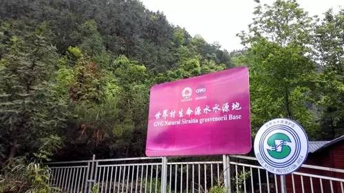 大山第一村富硒大米（富硒大米好在哪）-硒宝网