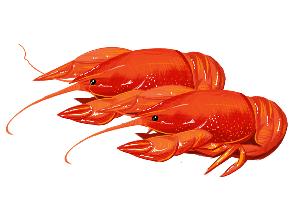 葡萄糖酸钙600毫克补钙够吗(葡萄糖酸钙含片含钙量)-硒宝网