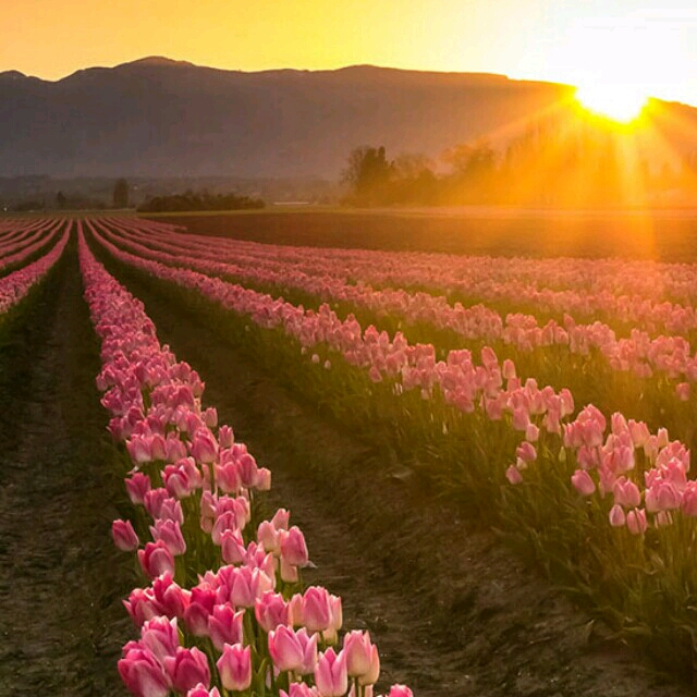 十一个月宝宝补钙吃什么钙好(宝宝吃钙片好)-硒宝网