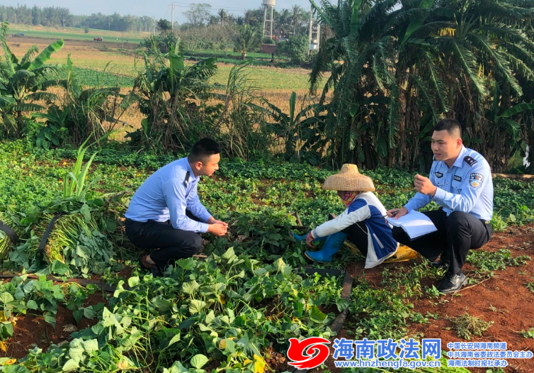 桥头富硒地瓜是哪里(桥头地瓜富硒是哪里产的)-硒宝网