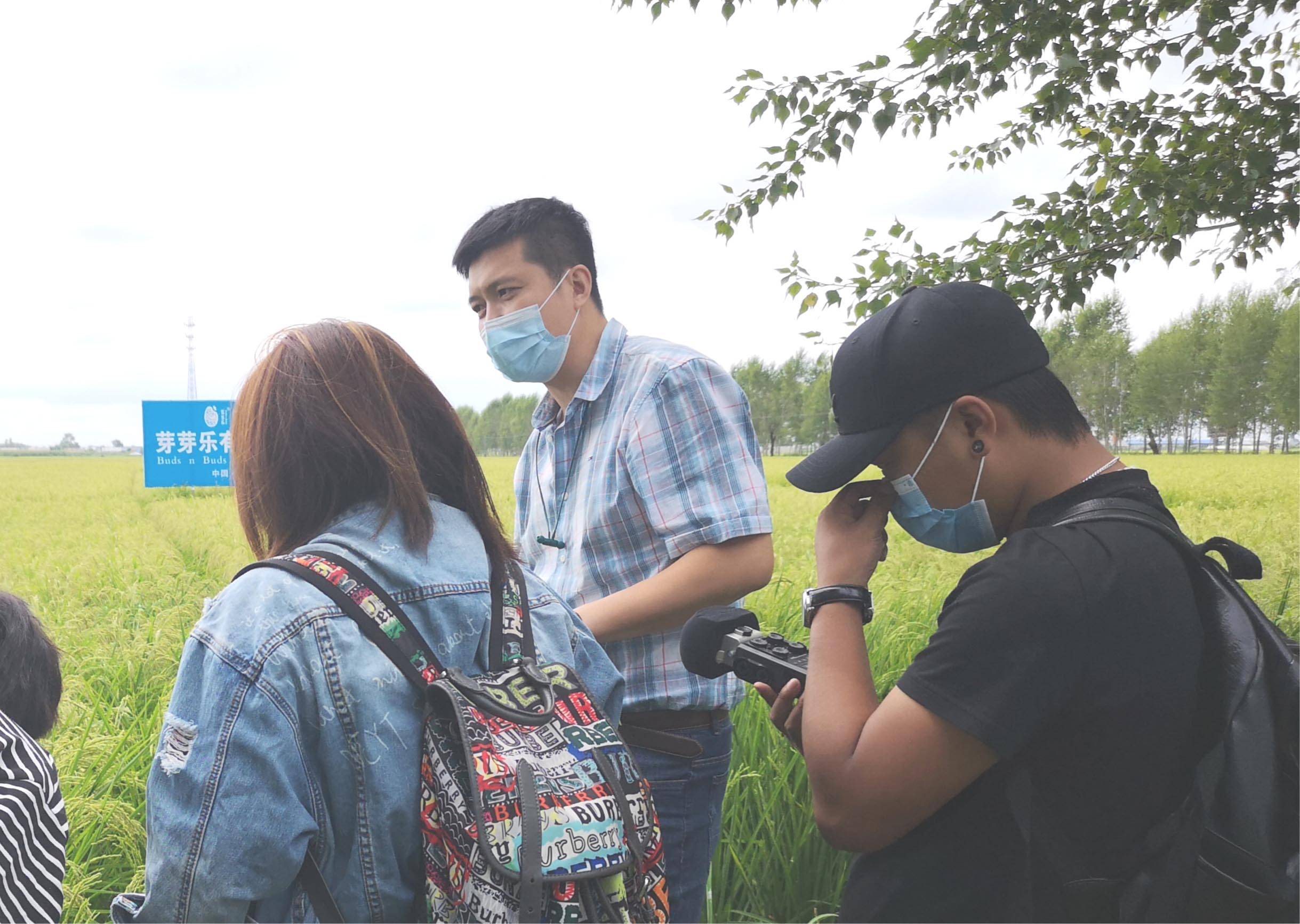 五常富硒大米十斤装（五常富硒米的功效和作用）-硒宝网