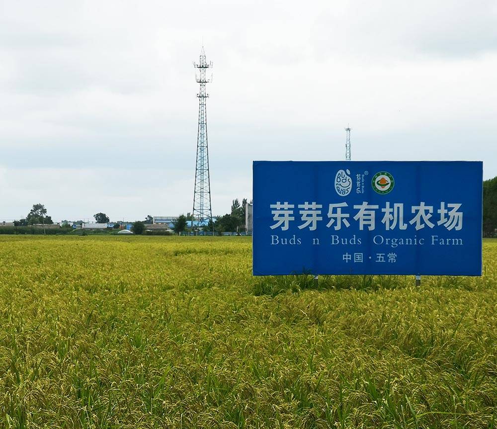 五常富硒大米十斤装（五常富硒米的功效和作用）-硒宝网