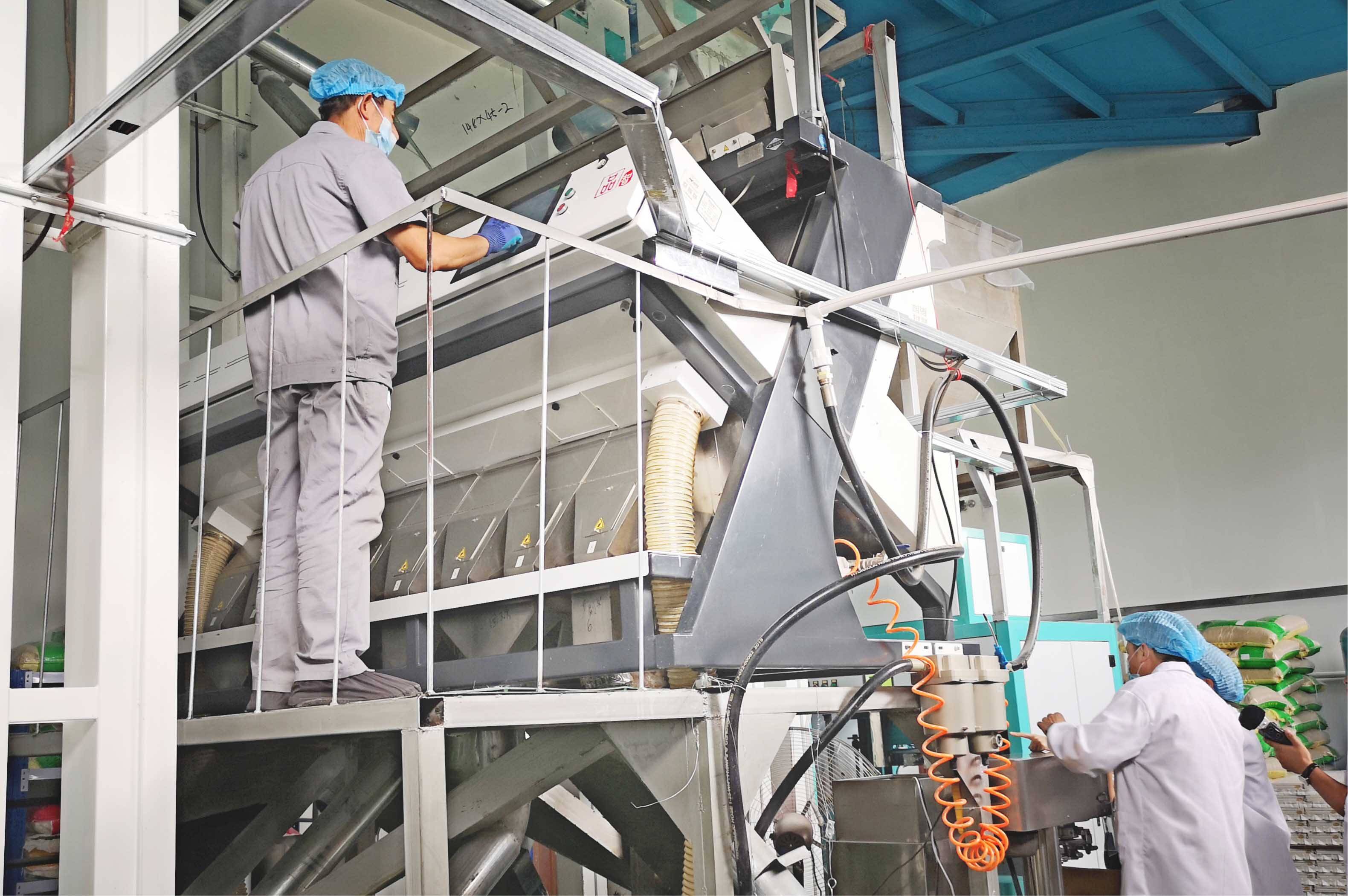 五常富硒大米十斤装（五常富硒米的功效和作用）-硒宝网