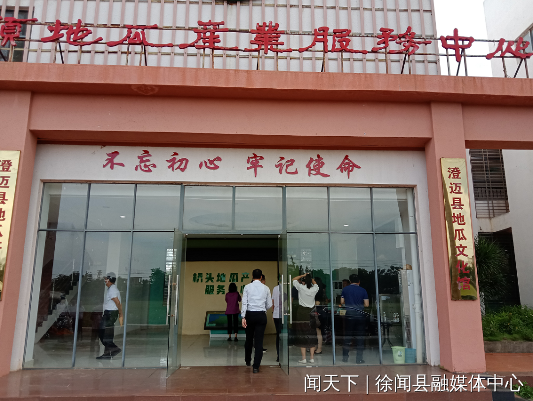 桥头富硒地瓜是哪里（海南桥头富硒地瓜功效）-硒宝网