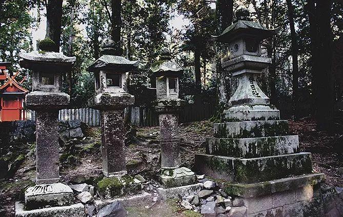 富硒地瓜可以拔丝吗(地瓜富硒拔丝可以直接吃吗)-硒宝网