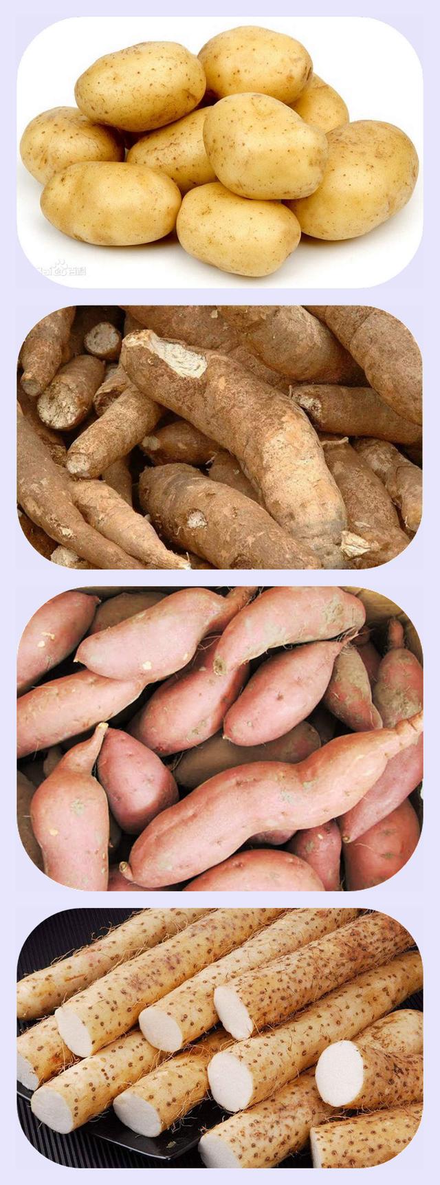 富硒地瓜是不是红薯(红薯地瓜是富硒地瓜吗)-硒宝网