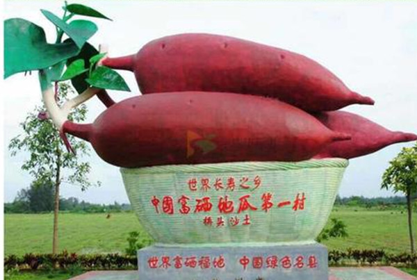 富硒地瓜可以拔丝吗(地瓜富硒拔丝可以放多久)-硒宝网