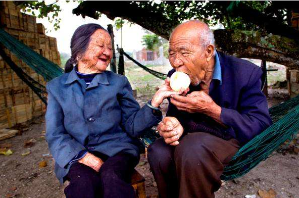 富硒地瓜可以拔丝吗(地瓜富硒拔丝可以放多久)-硒宝网