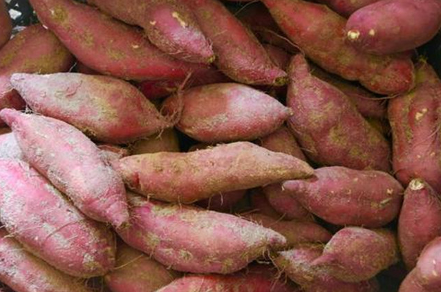富硒地瓜可以拔丝吗(地瓜富硒拔丝可以放多久)-硒宝网