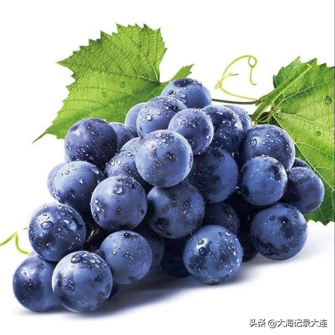 淄川富硒地瓜哪里产（富硒地瓜多少钱一斤）-硒宝网