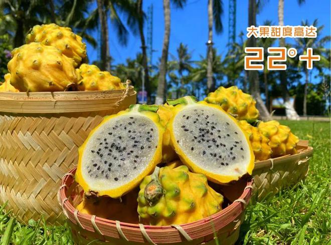 澄迈富硒地瓜的作用(富硒地瓜的功效)-硒宝网