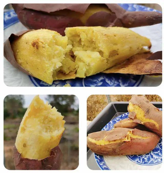 澄迈富硒地瓜的作用(富硒地瓜的功效)-硒宝网