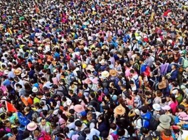 郓城富硒地瓜采摘园(红薯采摘园)-硒宝网