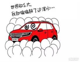 郓城富硒地瓜采摘园(红薯采摘园)-硒宝网