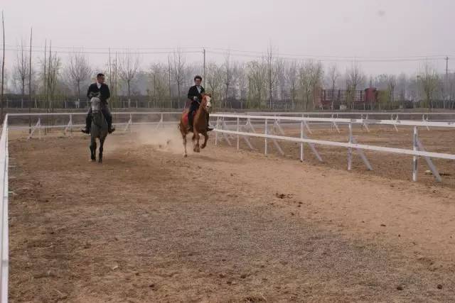 郓城富硒地瓜采摘园(红薯采摘园)-硒宝网