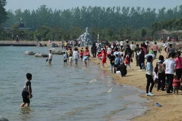 郓城富硒地瓜采摘园(红薯采摘园)-硒宝网