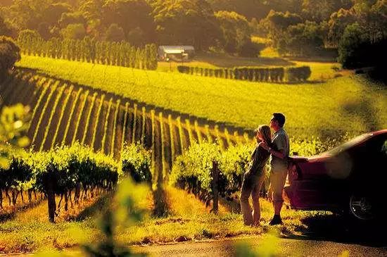 郓城富硒地瓜采摘园(红薯采摘园)-硒宝网