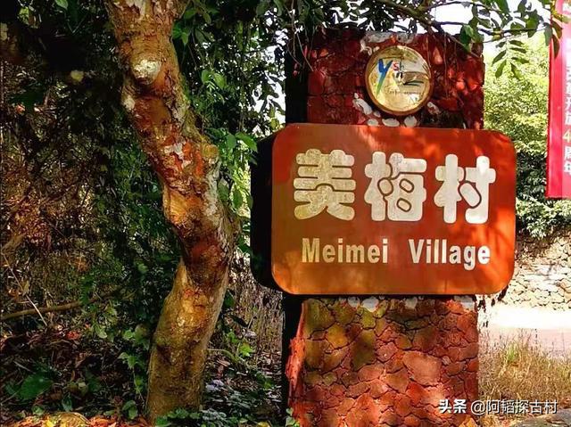 富硒地瓜怎么那么甜（富硒地瓜含糖量高吗）-硒宝网